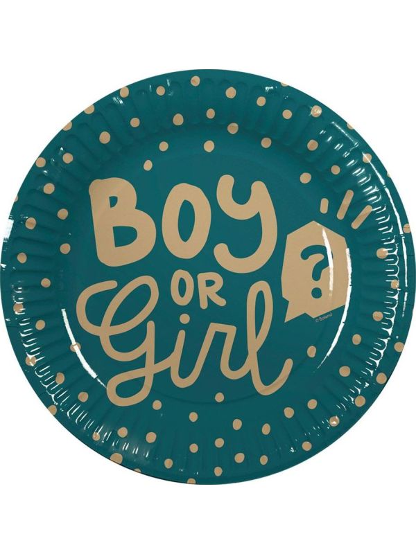 10 Gender Reveal Party Papieren Bordjes