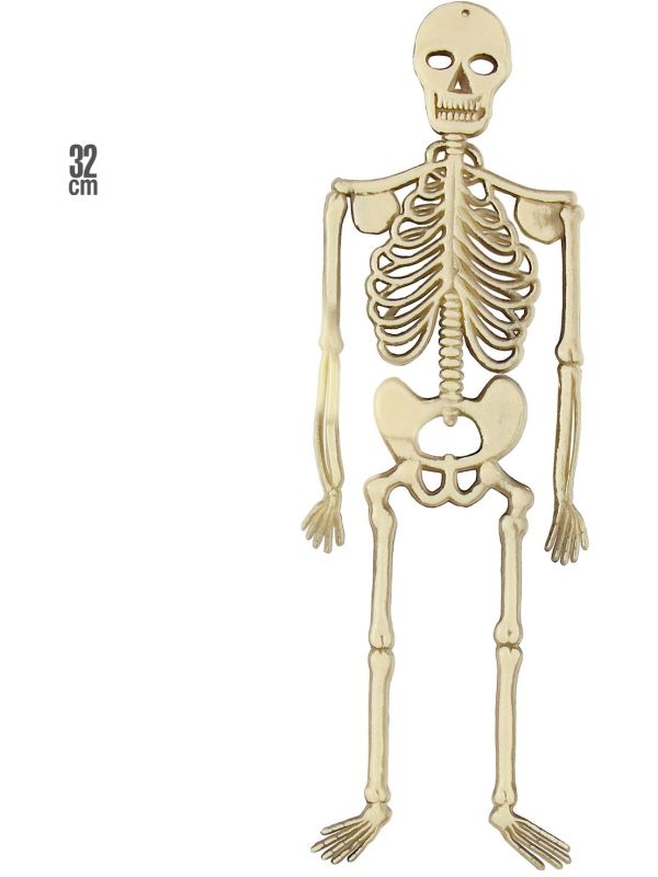 Beenderstelsel Decoratie