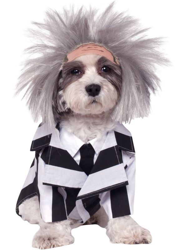 Beetlejuice Kostuum voor Honden WB Classic