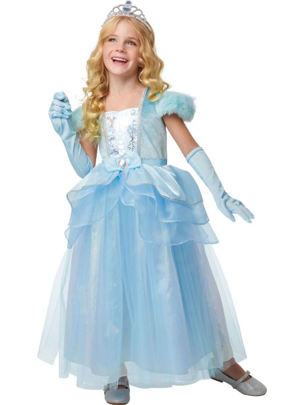Blauwe Assenpoester Prinsessenjurk Meisjes