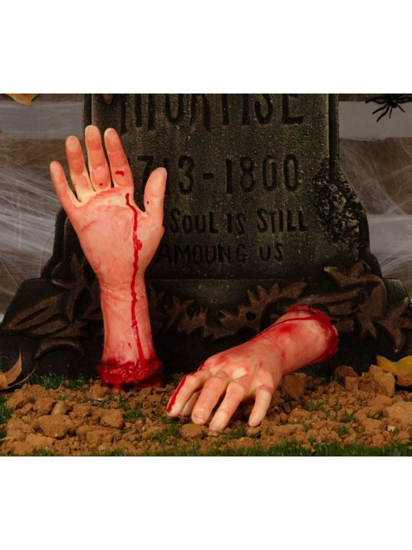 Bloederige Afgehakte Hand