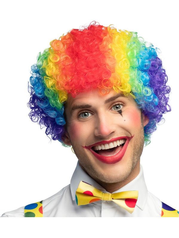 Curly Clown Pruik Veelkleurig