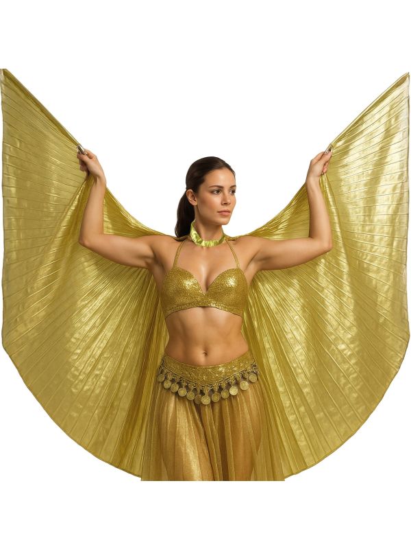 Egyptische Gouden Cape Vleugels