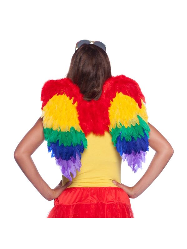 Engelen Vleugels Regenboog 50cm