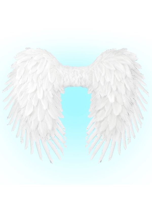 Engelenvleugels Wit Dames Heren Carnaval