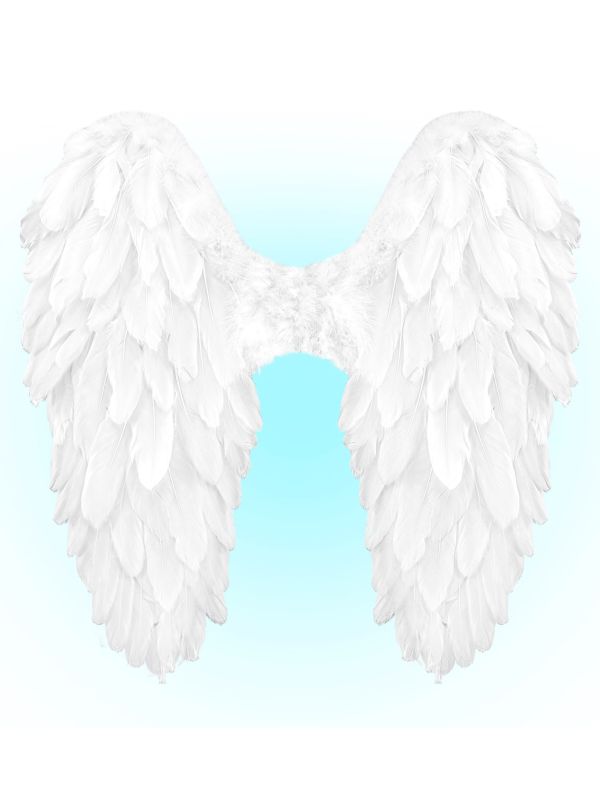 Engelenvleugels Wit Veren Dames Heren