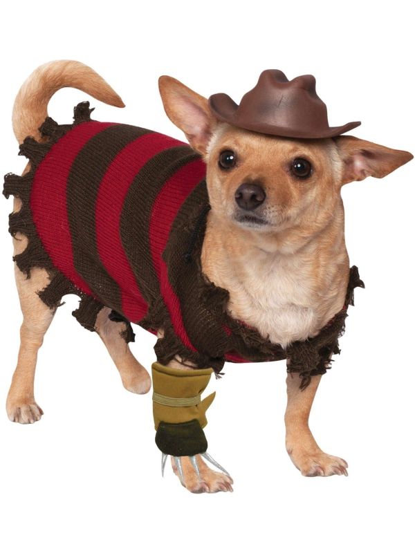 Freddy Krueger Hond Kostuum Halloween