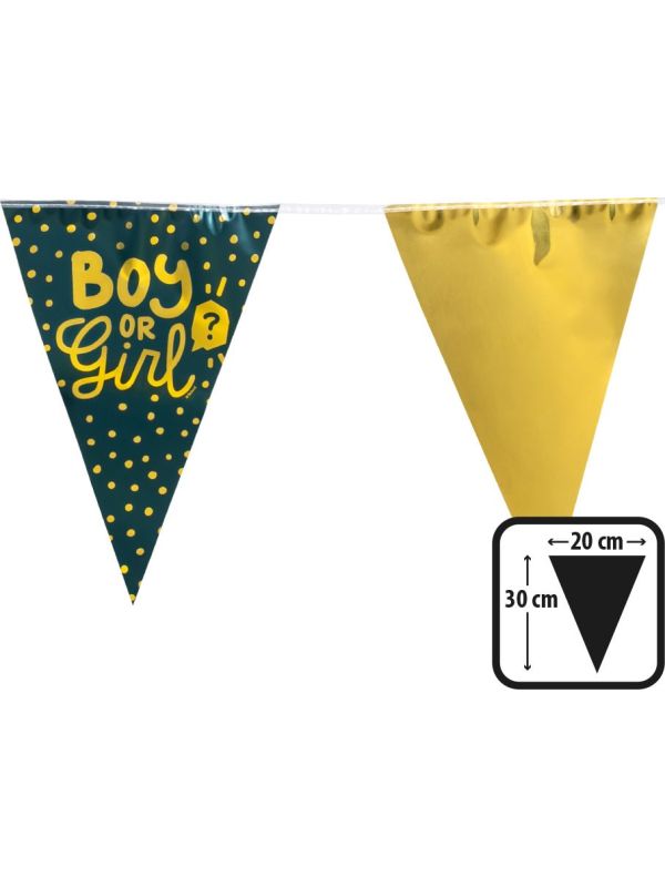 Gender Reveal Party Vlaggenlijn
