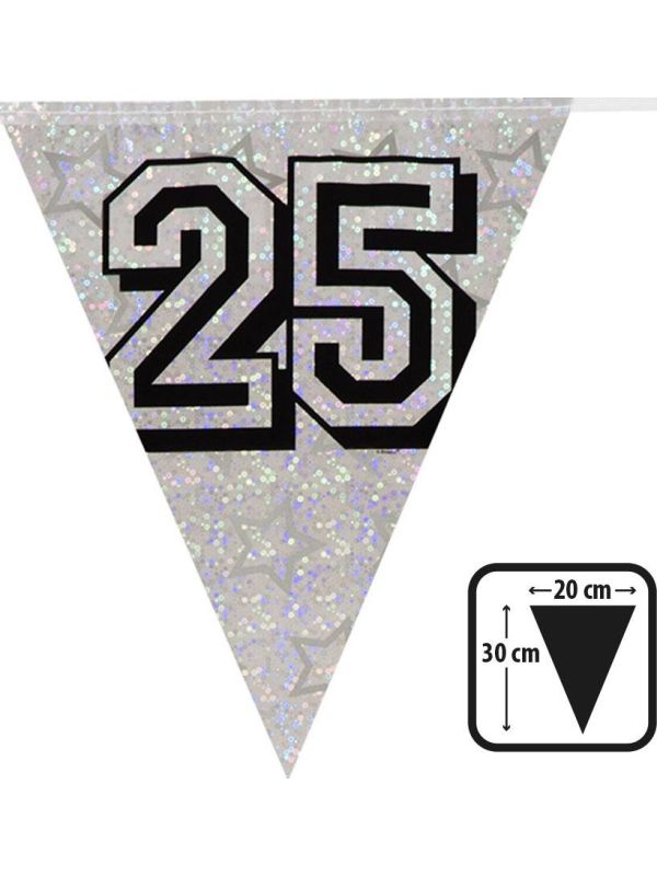 Zilveren Vlaggenlijn 25 Jaar