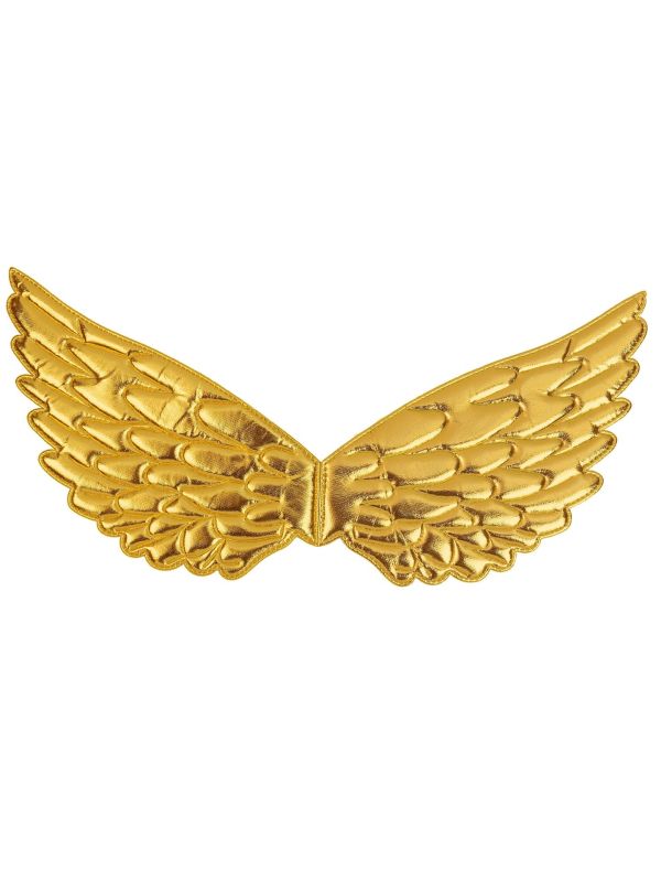 Gouden Engel Vleugels Accessoire