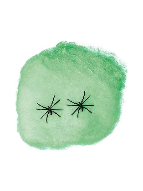 Groen Spinnenweb met 4 Spinnen