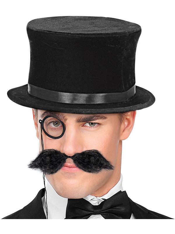 Grote Zwarte Schnauzer Snor