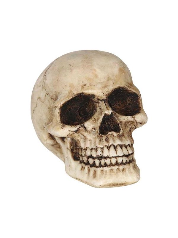 Halloween Kleine Doodskop Decoratie