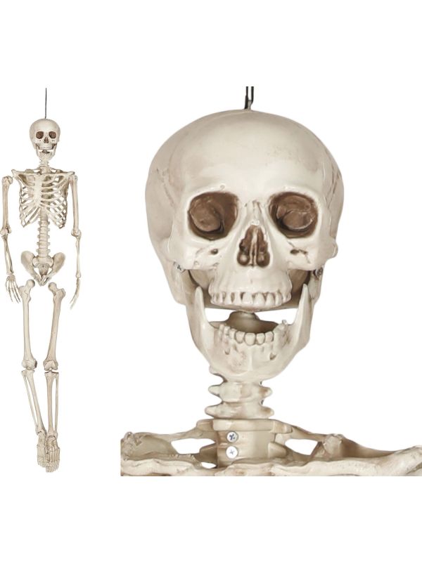 Halloween Skelet 160cm