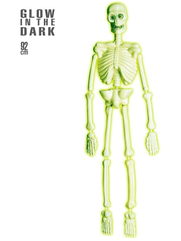 Halloween Skelet Glow In The Dark