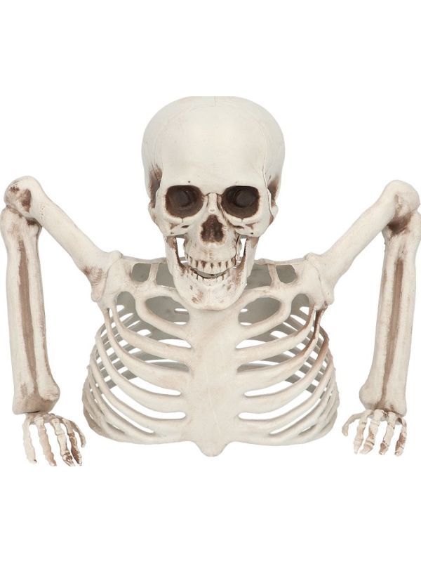 Halloween Skelet Groundbreaker Decoratie