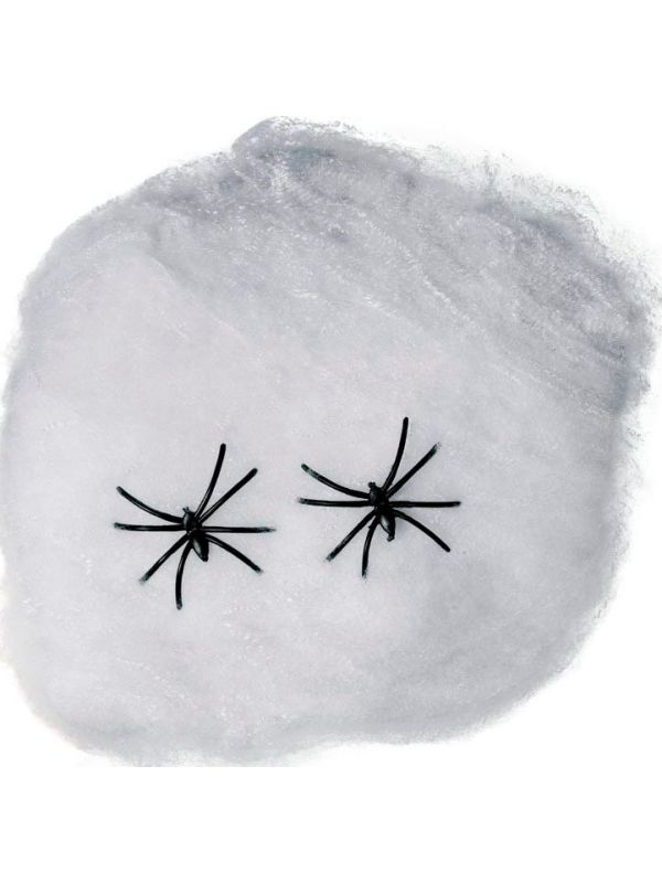 Halloween Spinnenweb 10Gr