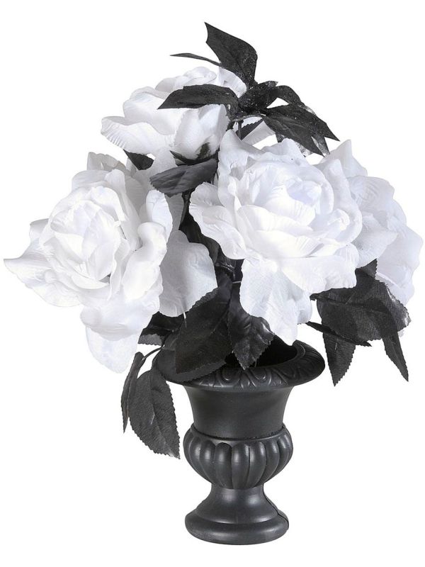 Halloween Vaas met Witte Rozen
