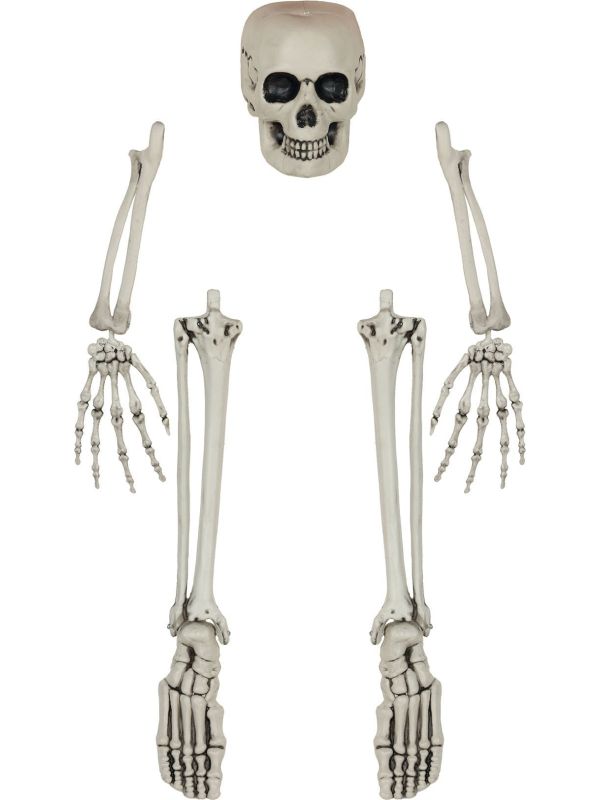 Halloween Wit Skelet Hanger