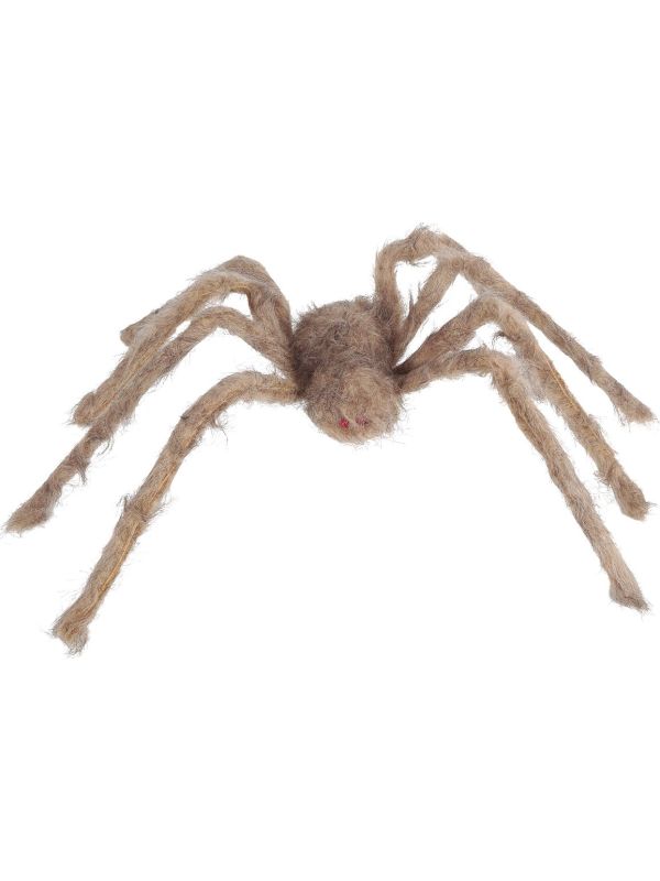 Harige Grijze Vogelspin