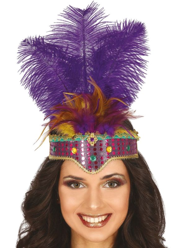 Hoofdtooi Paarse Veren