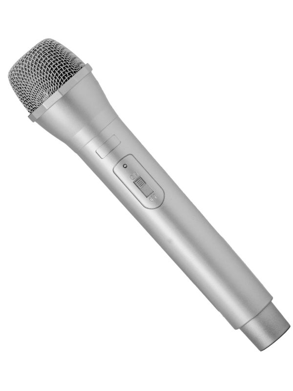 Karaoke Nep Microfoon