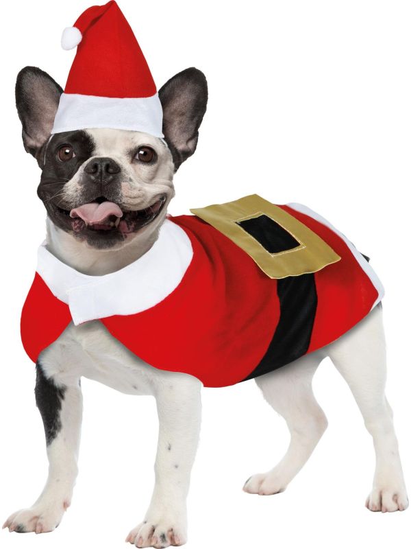 Kerstman Kostuum Hond