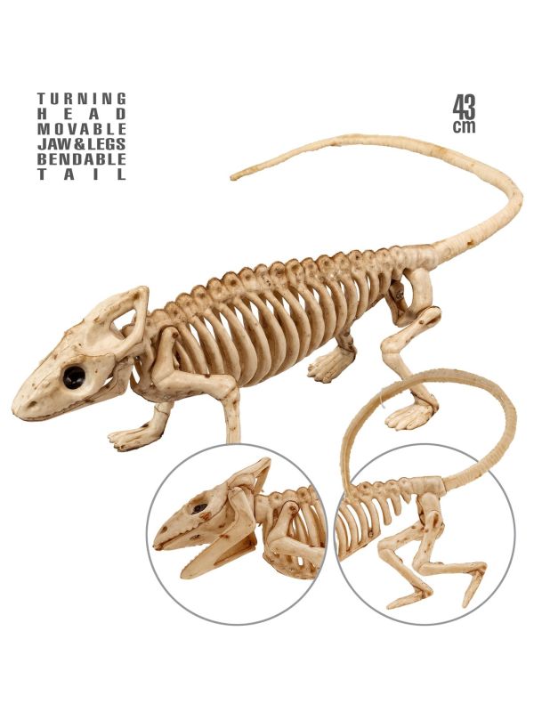 Leguaan Skelet Decoratie Halloween
