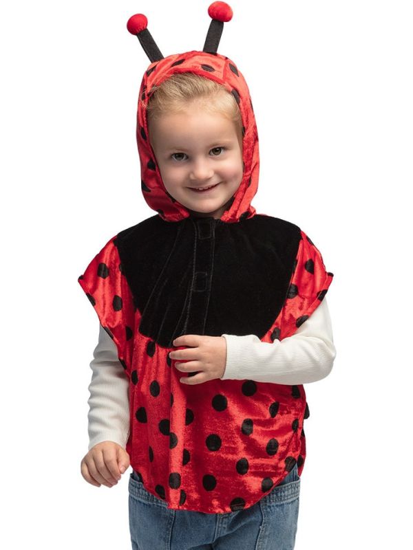 Lieveheersbeestje Poncho Peuter