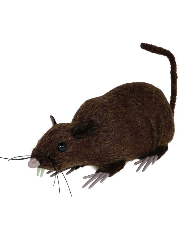Longfield Rat Bruin 15cm