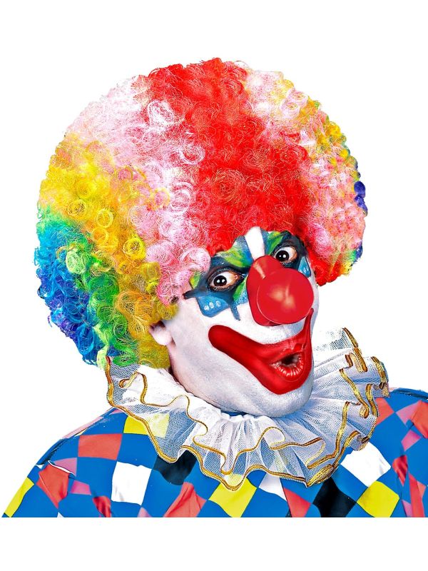 Meerkleurige Clowns Pruik met Krullen
