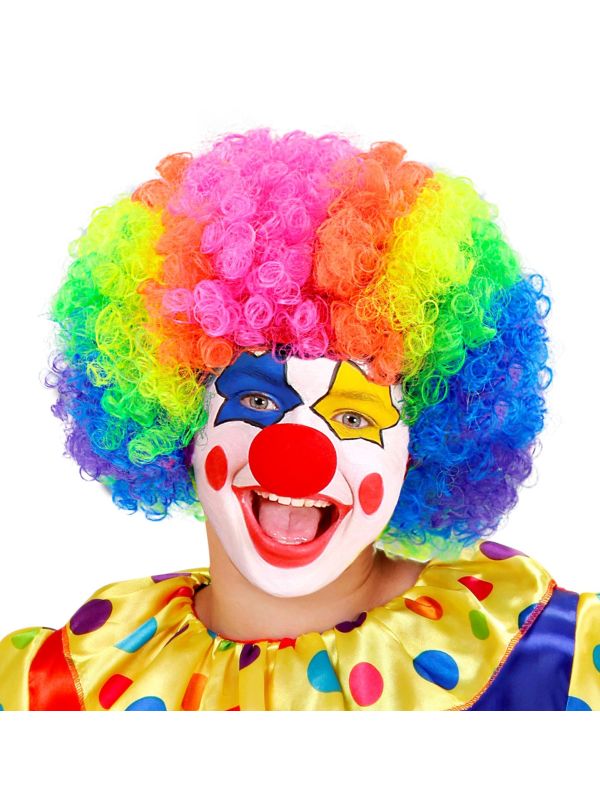 Meerkleurige Clownspruik
