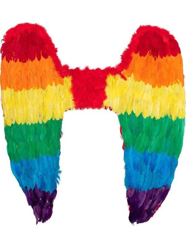 Mega Veren Engel Vleugels Regenboog