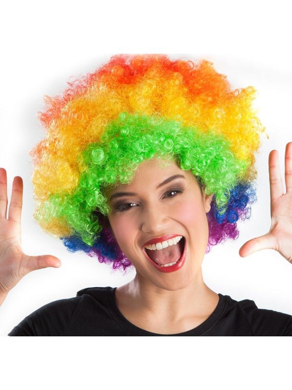 Multicolor 70's Disco Afro Pruik