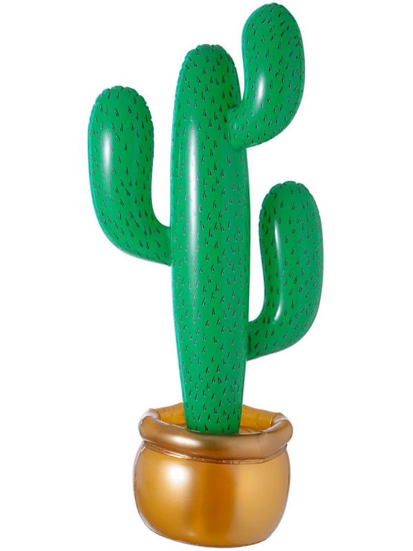 Opblaasbare Cactus