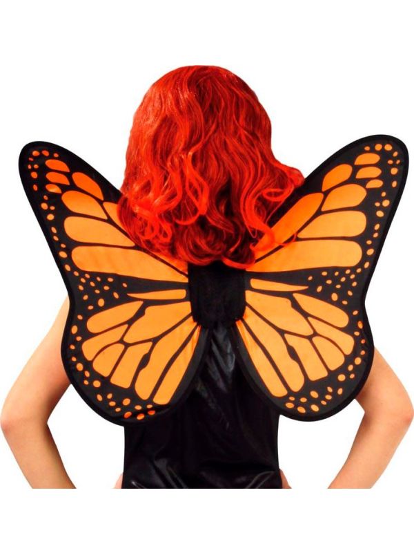 Oranje Compacte Vlinder Vleugels