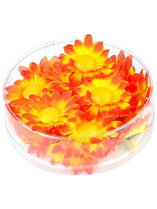 Oranje Margrietjes 20 Stuks