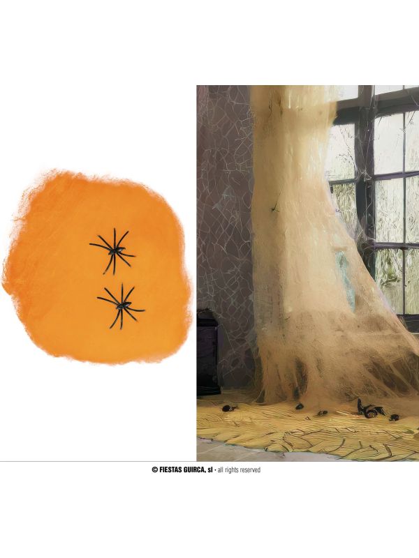 Oranje Spinnenweb Halloween