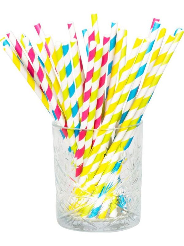 Papieren Rietjes Meerkleurig