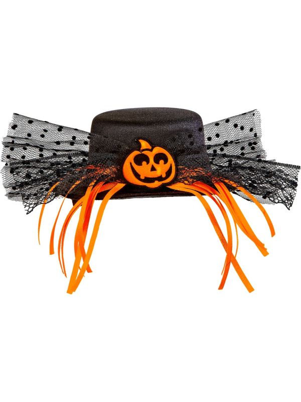 Pompoen Mini Hoge Hoed