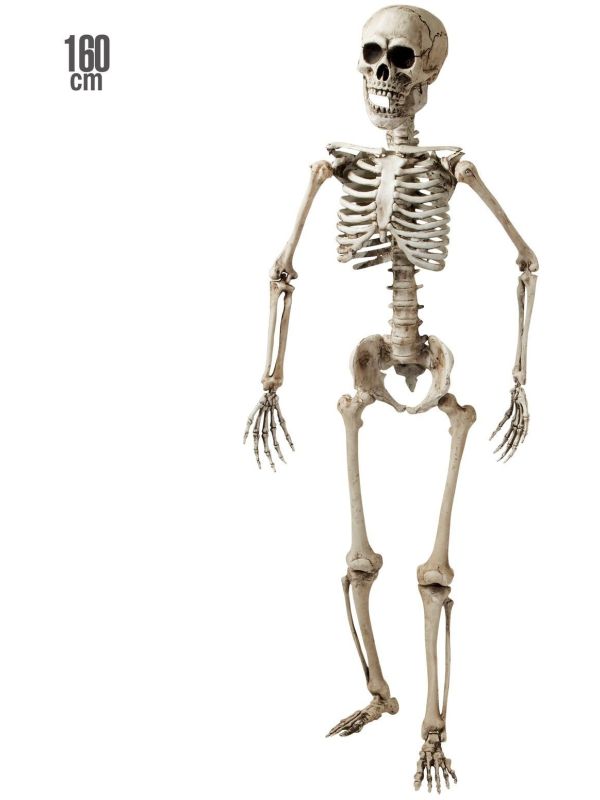 Poseerbaar Beenderstelsel