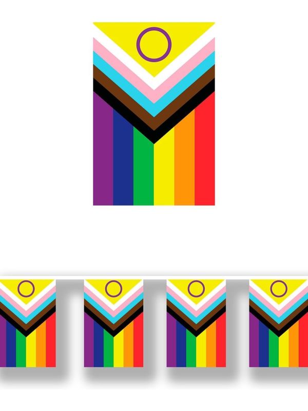 Pride Vlag Feestslinger 2,5M