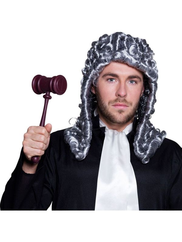 Rechter Advocaat Voorzitter Hamer