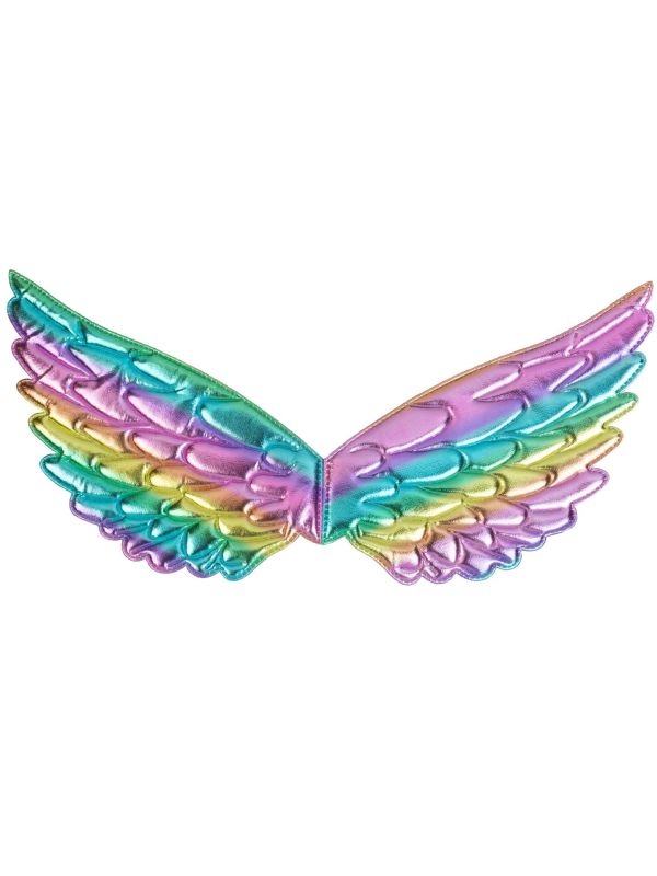 Regenboog engel Vleugels Accessoire