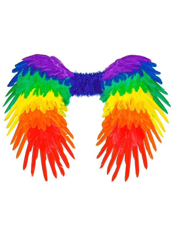 Regenboog Veren Vleugels Dames Heren