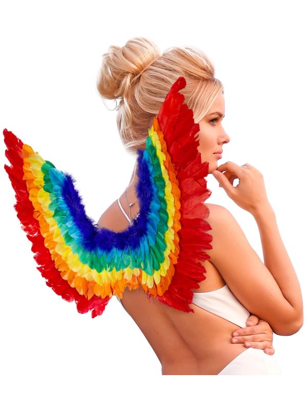 Regenboog Vleugels