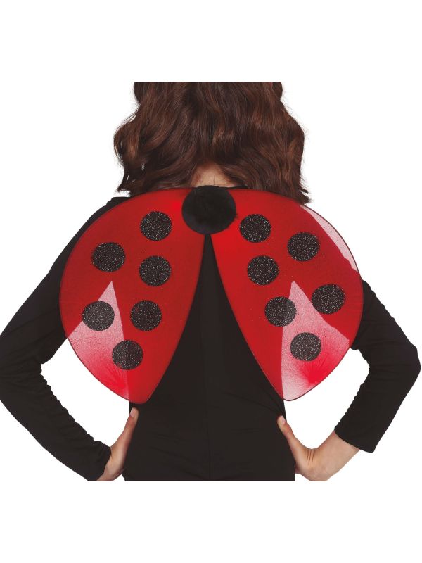 Rode Lieveheersbeestje Vleugels Kinderen