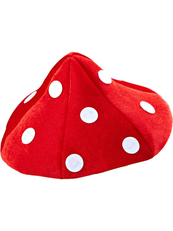 Rode Paddenstoel Hoed