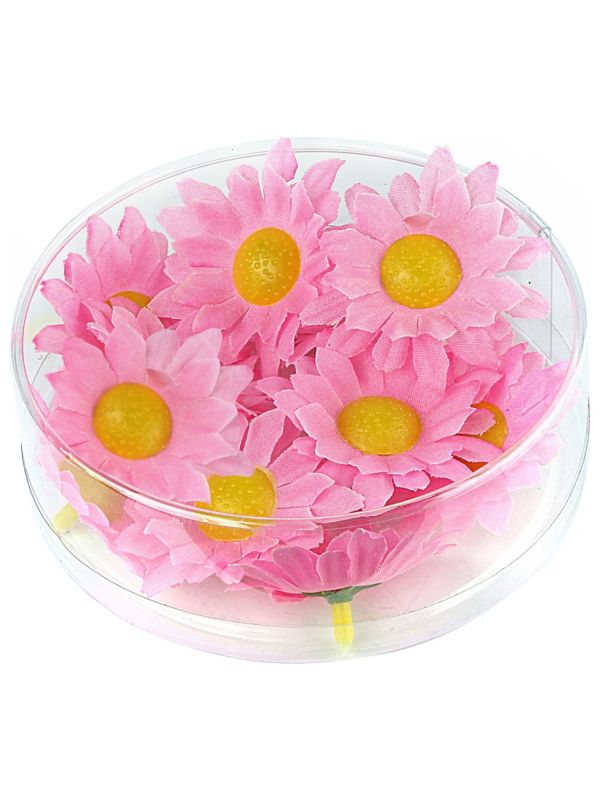 Roze Margrietjes 20 Stuks