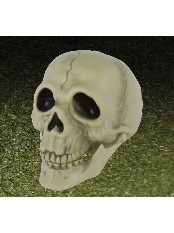 Schedel Decoratie Halloween 13cm